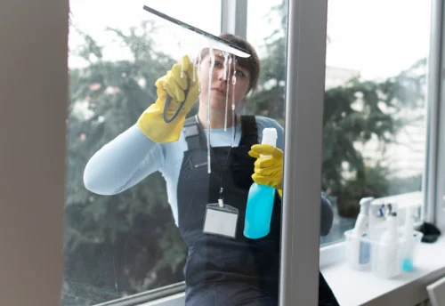 Nettoyage de vitres intérieures et extérieures à Saint-Pierre-de-Colombier